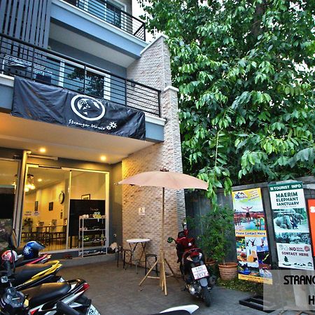 Stranger House Vandrerhjem Chiang Mai Eksteriør bilde